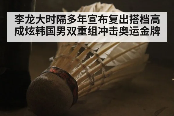 李龙大时隔多年宣布复出搭档高成炫韩国男双重组冲击奥运金牌