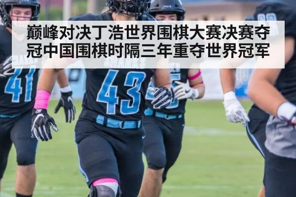 巅峰对决丁浩世界围棋大赛决赛夺冠中国围棋时隔三年重夺世界冠军