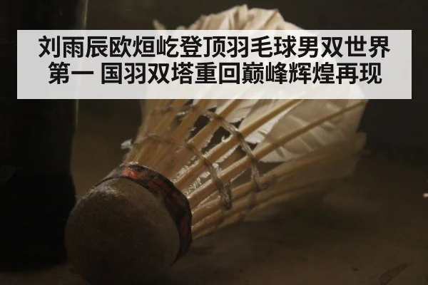刘雨辰欧烜屹登顶羽毛球男双世界第一 国羽双塔重回巅峰辉煌再现